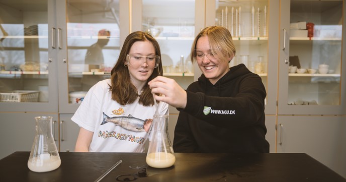 Elbæk Efterskole 9650